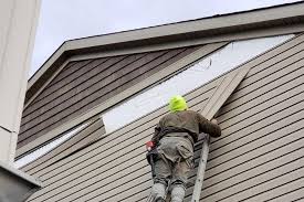 Best Siding Painting and Refinishing  in Gorevle, IL